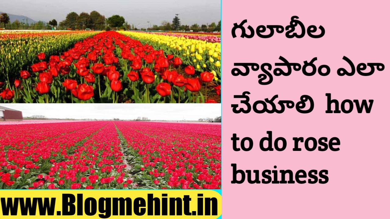 How to do rose business