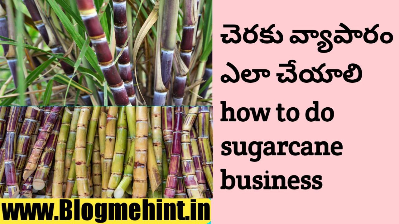 How to do Sugarcane Business