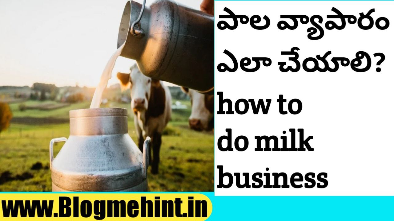 How to do milk business