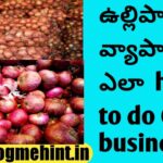 How to do onion business