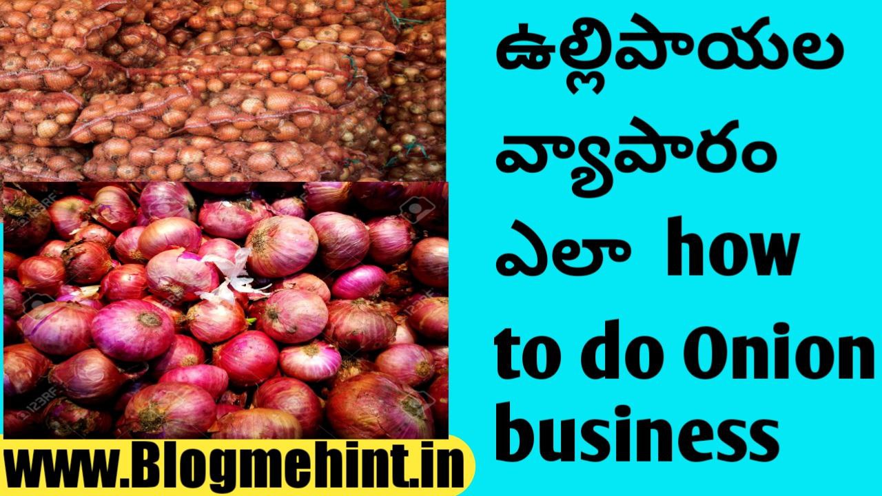 How to do onion business